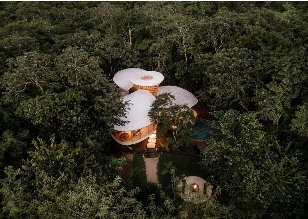 Aerial view of the Trillium treehouse at the Awakening Sanctuary with pool at dusk