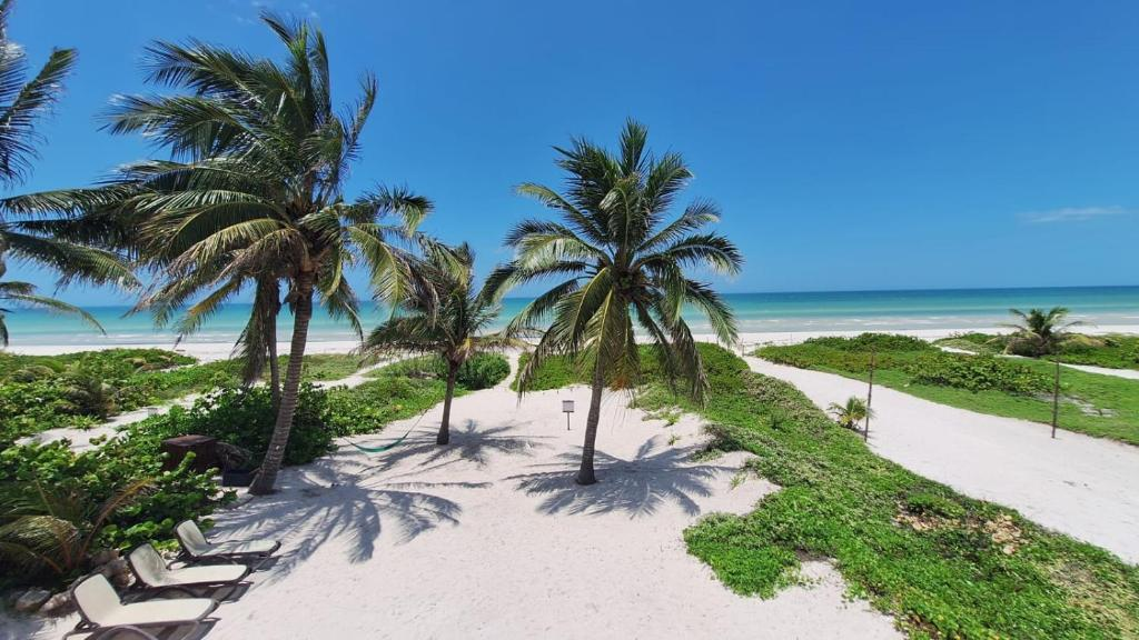 Palm trees, white sand path and turquoise water of the Gulf of Mexico at the Awakening Beach House in El Cuyo, Yucatán