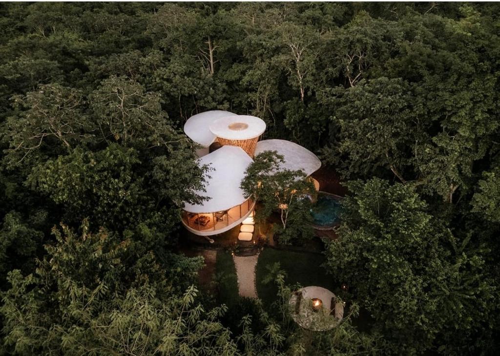 Luftaufnahme des Awakening Sanctuary mitten im Yucatán-Dschungel bei San Manuel, Mexiko