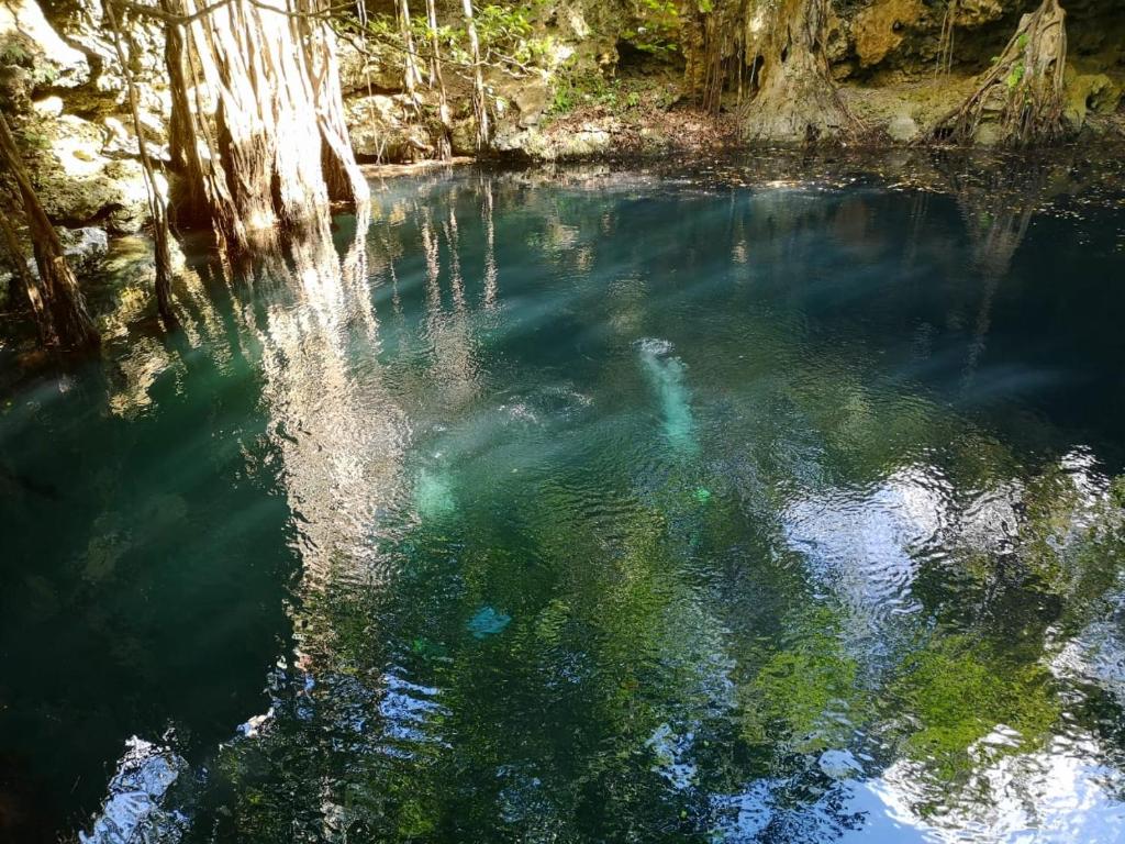 Private Cenote mit türkisem Wasser im Awakening Sanctuary Yucatán — Ort für Cacao-Zeremonie und Cliff Jumping