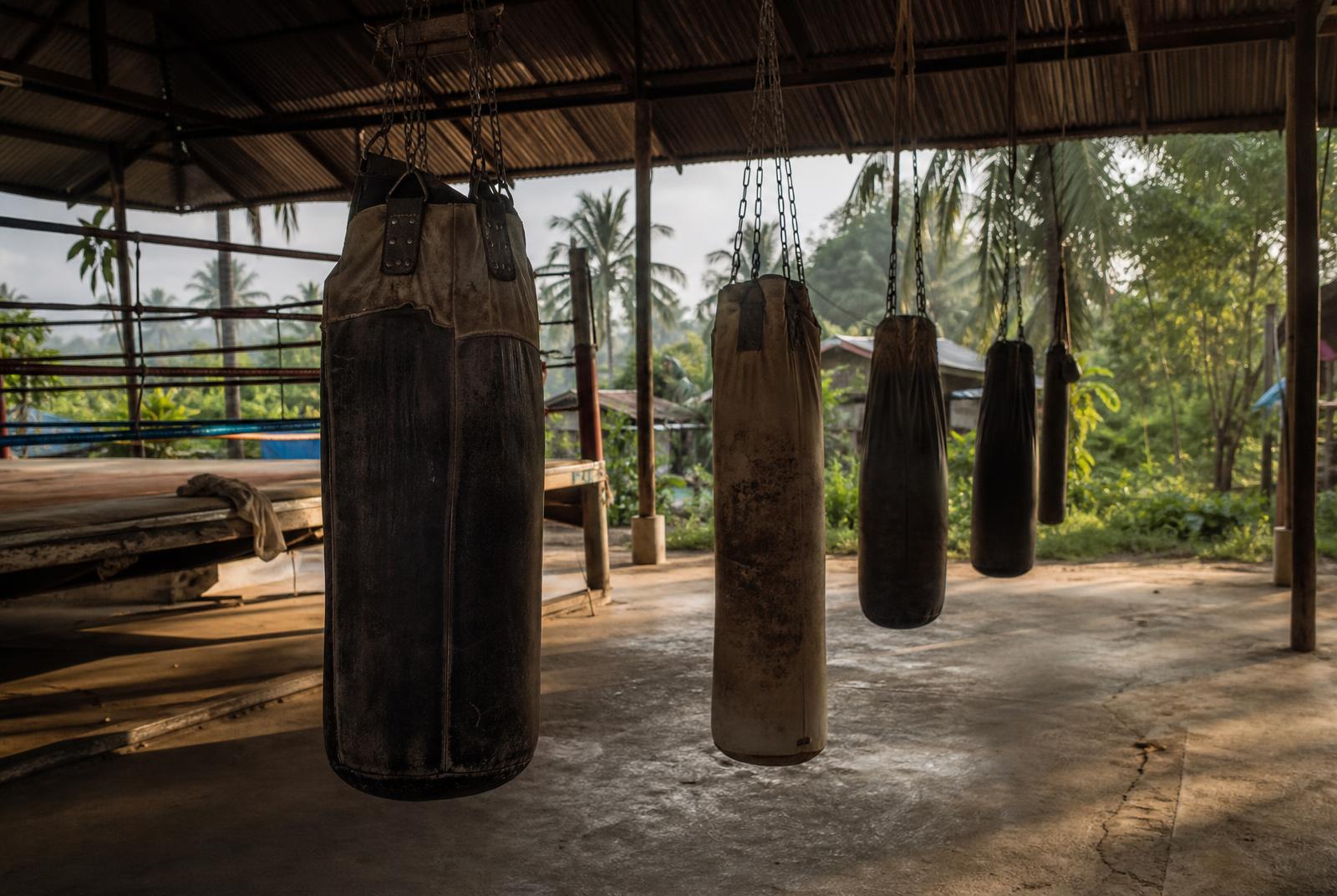 TRIBE Boxcamp Thailand